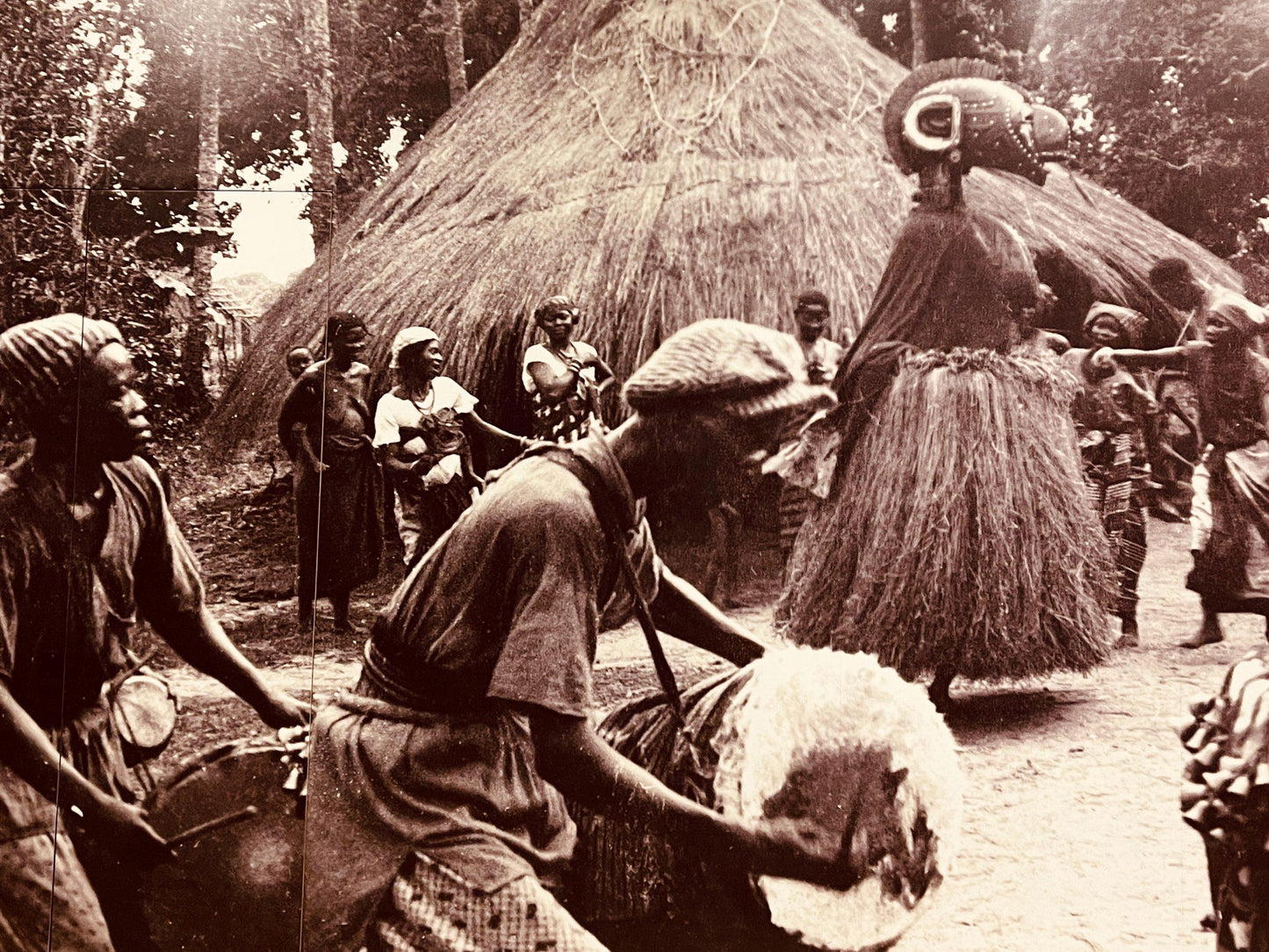 Tête Baga Nimba. Guinée Afrique. Art africain