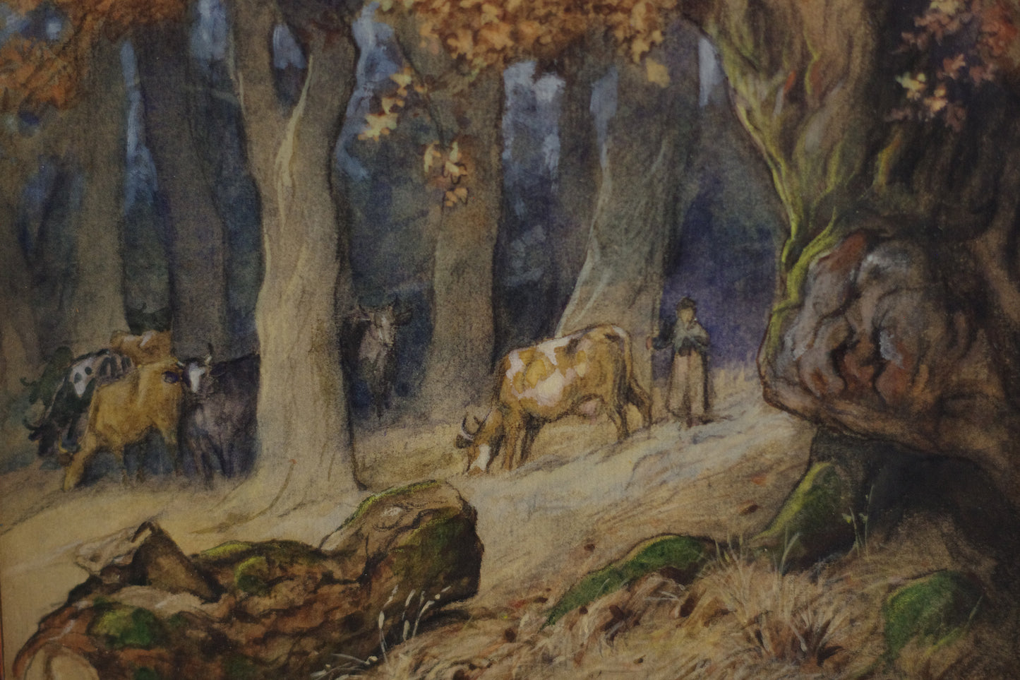 Aquarelle . Paysage . Forêt d'automne . Vaches . 1920