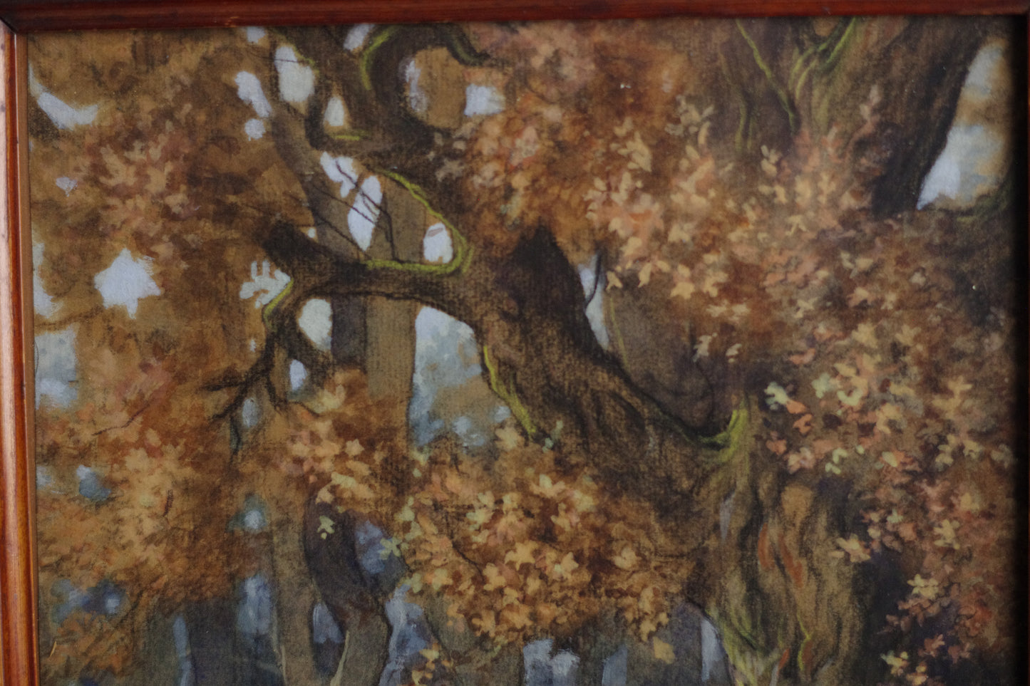 Aquarelle . Paysage . Forêt d'automne . Vaches . 1920