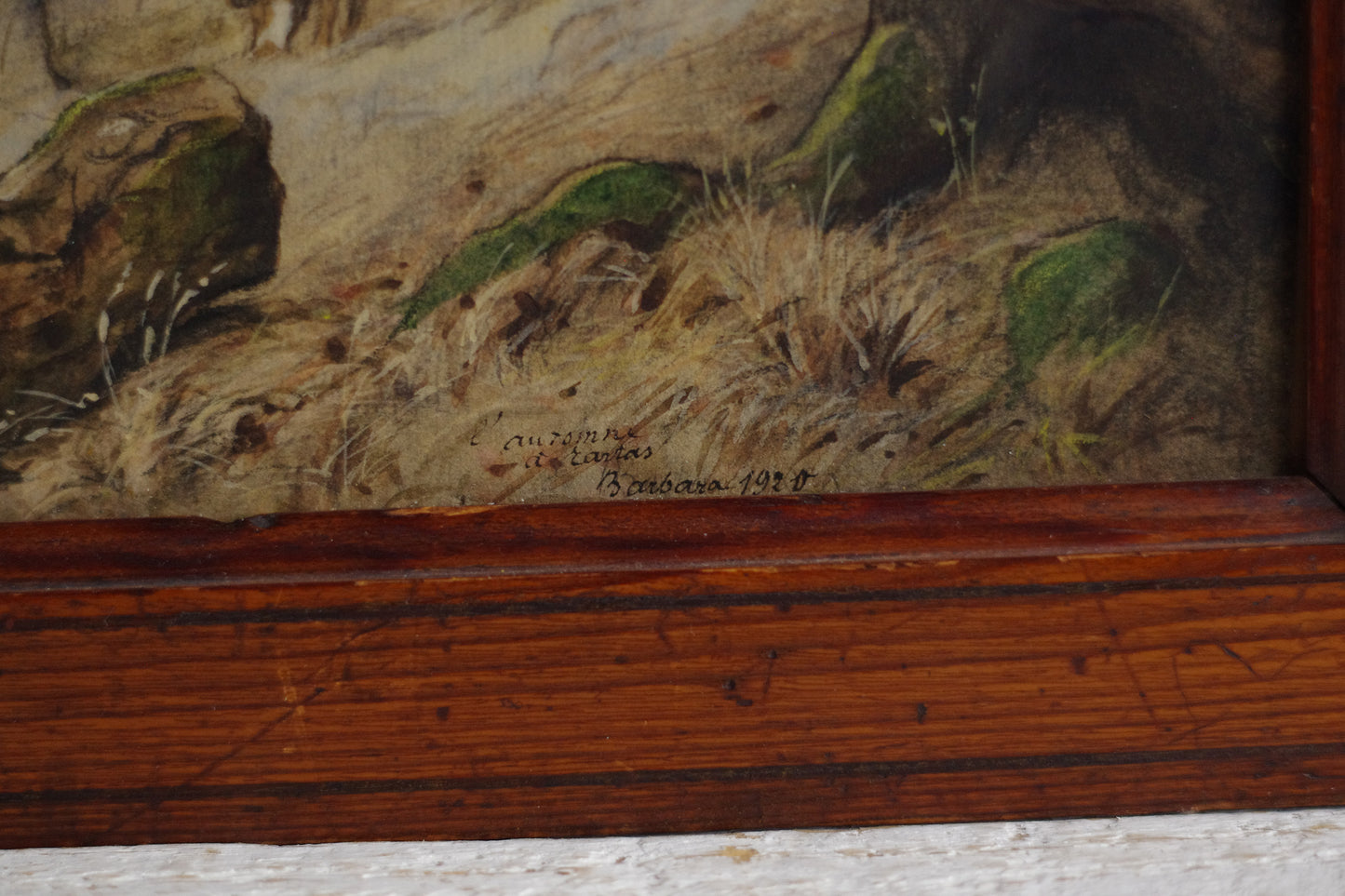 Aquarelle . Paysage . Forêt d'automne . Vaches . 1920